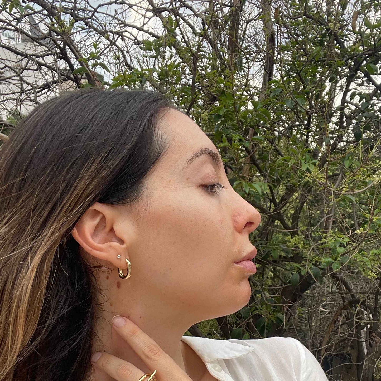 Pendientes Pegaso